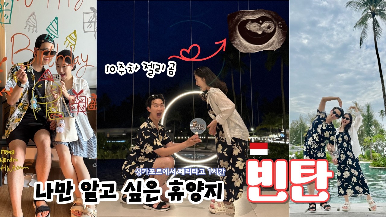 10주차 임산부, 젤리곰과 함께 페리타고 빈탄여행 ㅣ 싱가포르에서 1시간