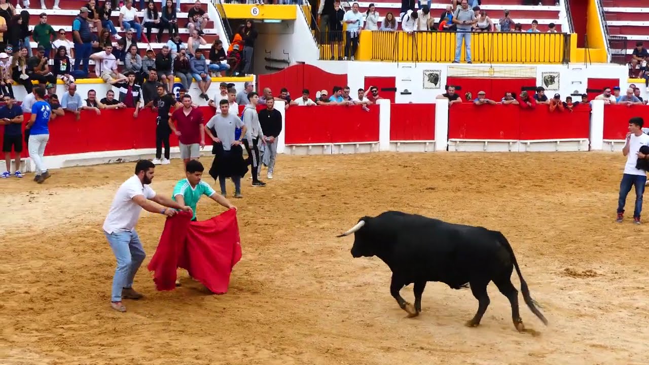 ✅Tradições na Moita do Ribatejo 2023