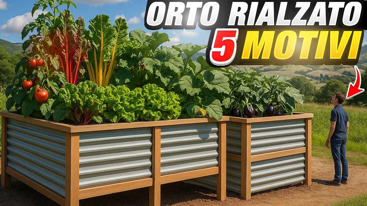 ORTO RIALZATO 🌱: Ecco perch&egrave; tutti voglio farlo  🪴🏡🍅