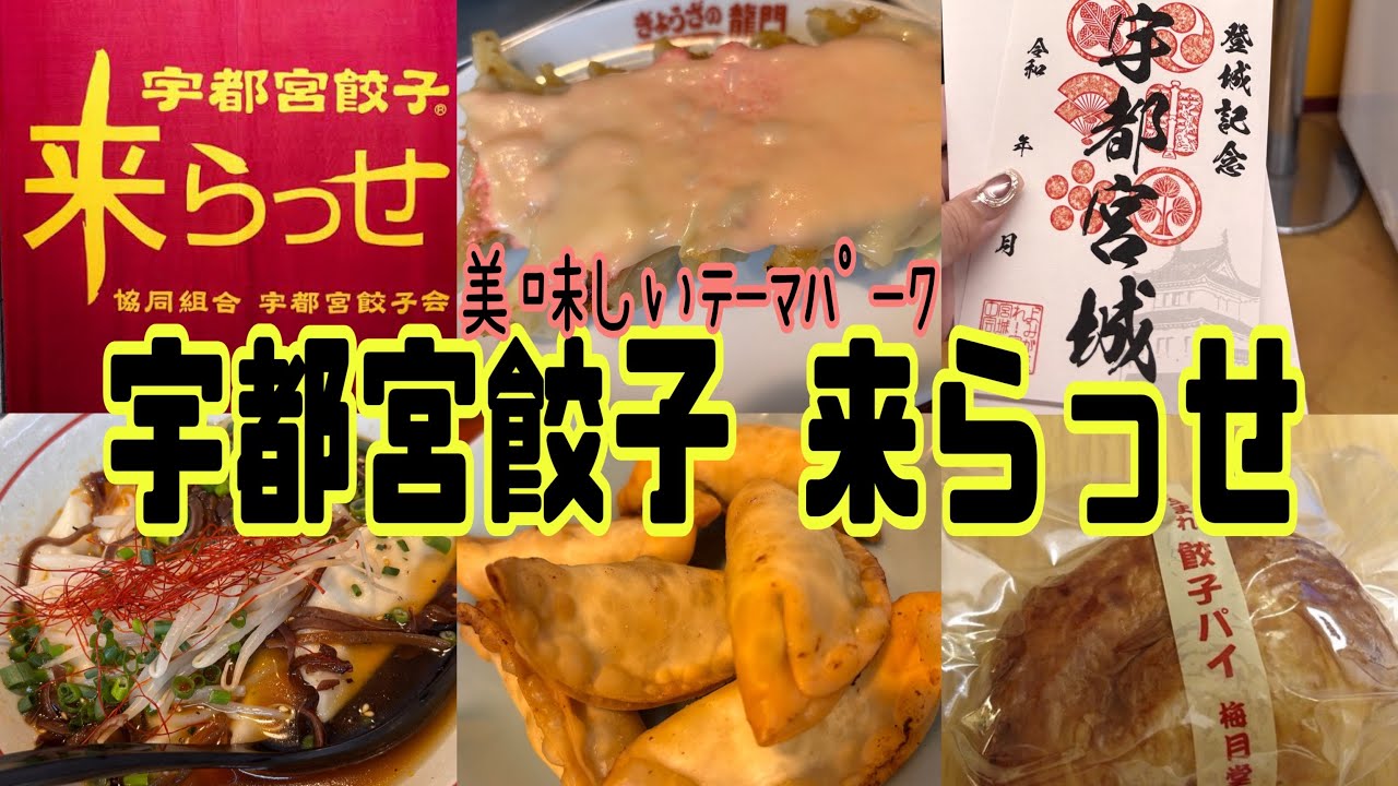 【宇都宮】4K🥟餃子テーマパーク「来らっせ」で宇都宮餃子をお腹いっぱい食べ尽くす🔥種類豊富＆美味しい餃子をドンキ地下でたっぷり堪能♪♪【栃木県】