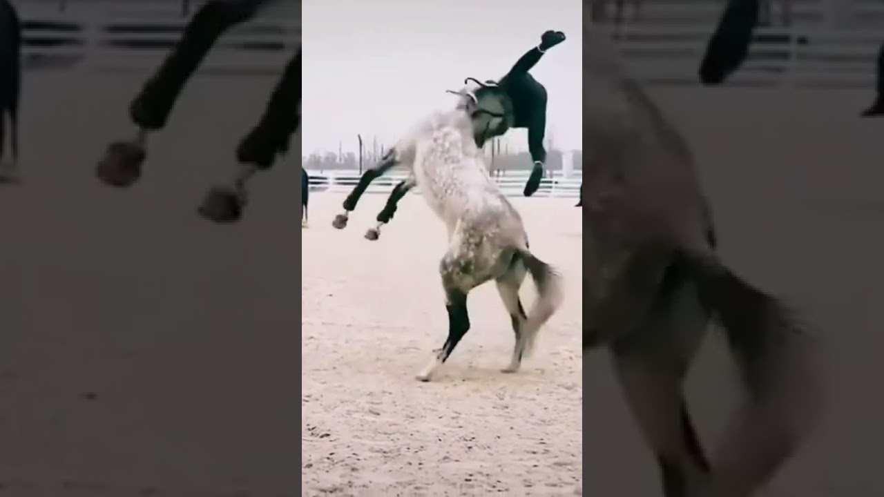 Bu Nasıl Ata Binmek #short