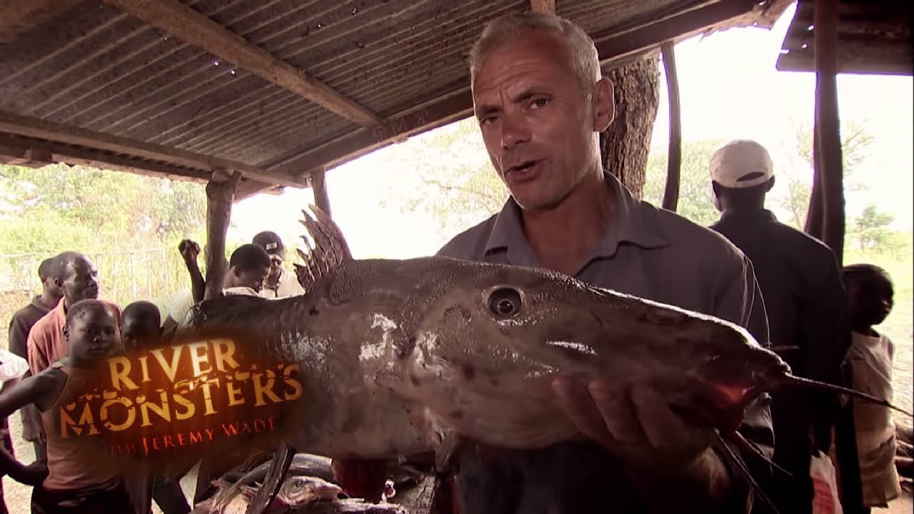 The Bizzarre Looking Catfish Of The Congo | CATFISH | River Monsters