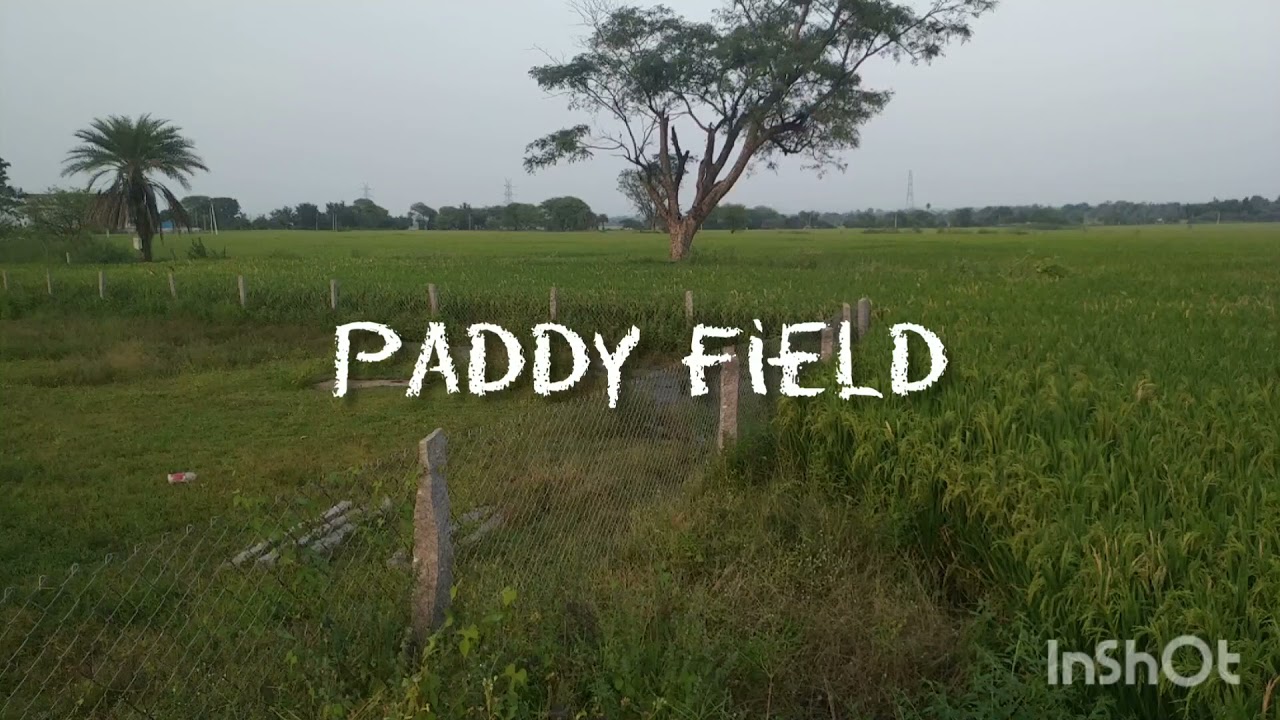Polam lo Vari Panta