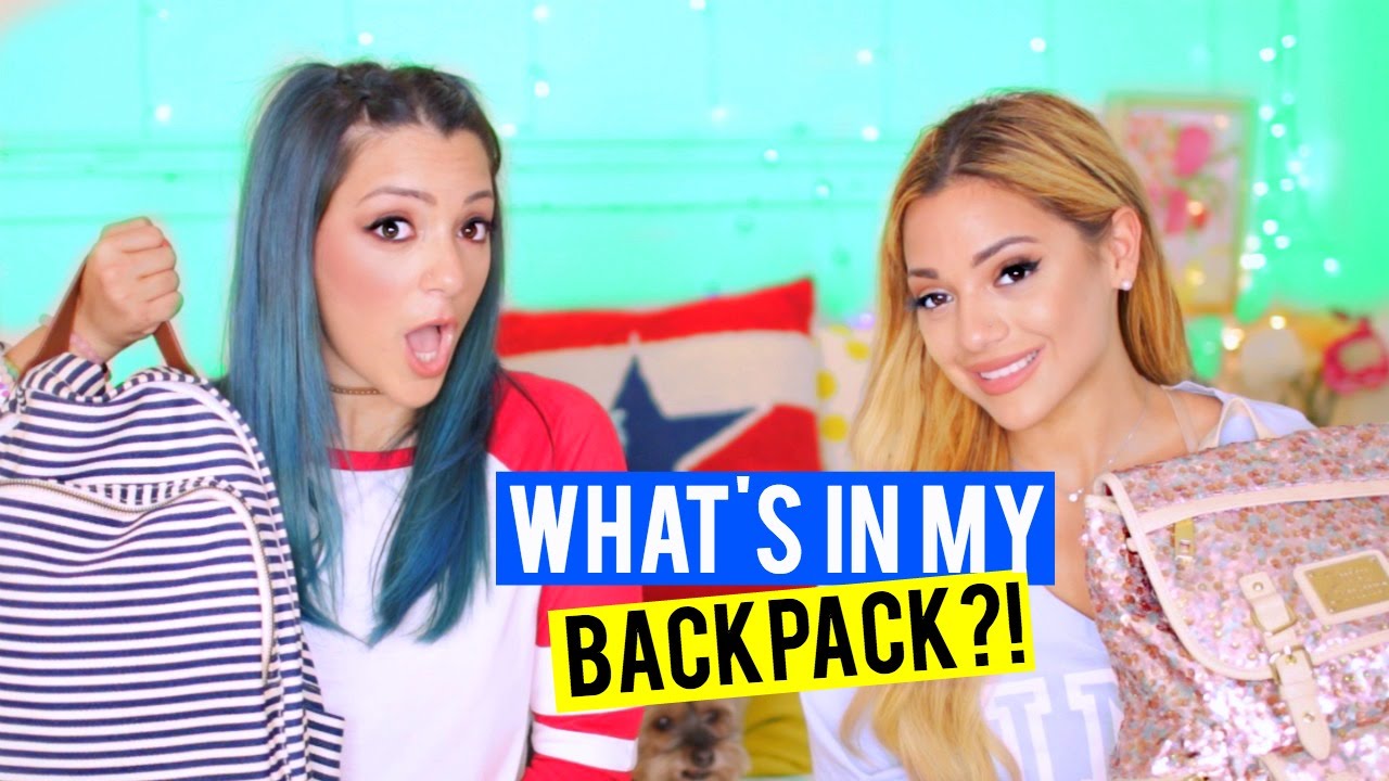 Back to School Supplies Haul 2016! Niki and Gabi