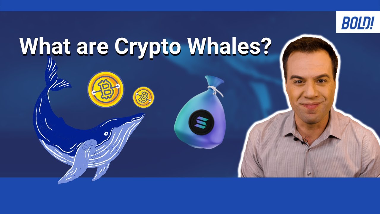Crypto Whale And Wash Trading Explained