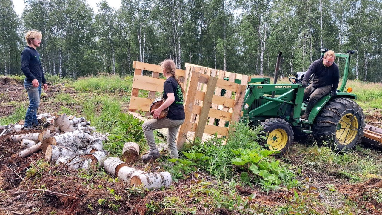 Спешим расчистить участок на нашей усадьбе на Аляске и обрабатываем &laquo;чертов клуб&raquo;