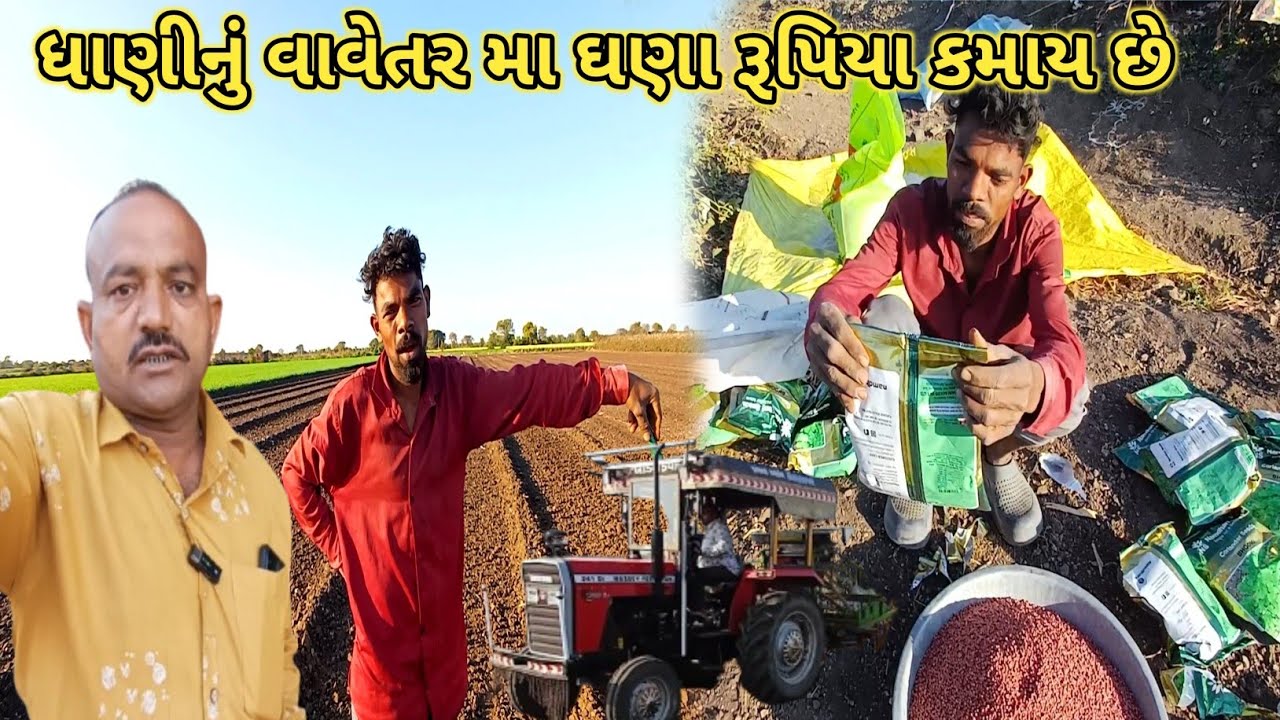 આઉટ સીઝનમાં ધાણી નું વાવેતર | Jitesh Sakhreliya Vlogs 