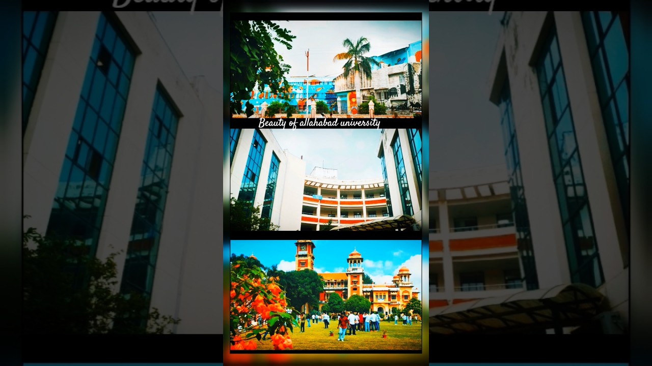 Allahabad university main campus #AU art's faculty #allahabaduiversity  #trendingshorts #shortvideo