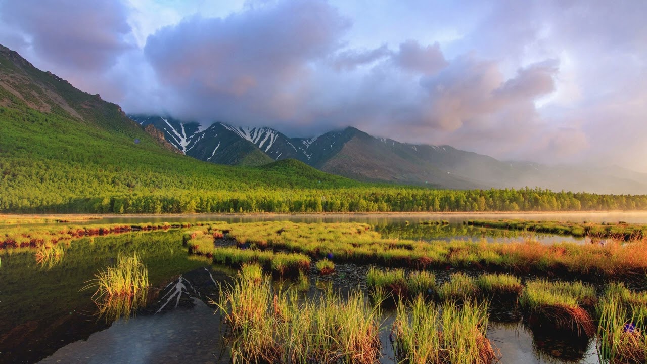 Morning Light – Calm Piano & Birdsong to Start Your Day