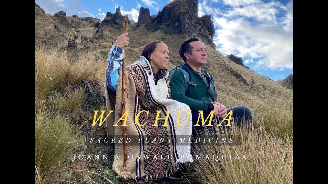 WACHUMA | sacred plant medicine