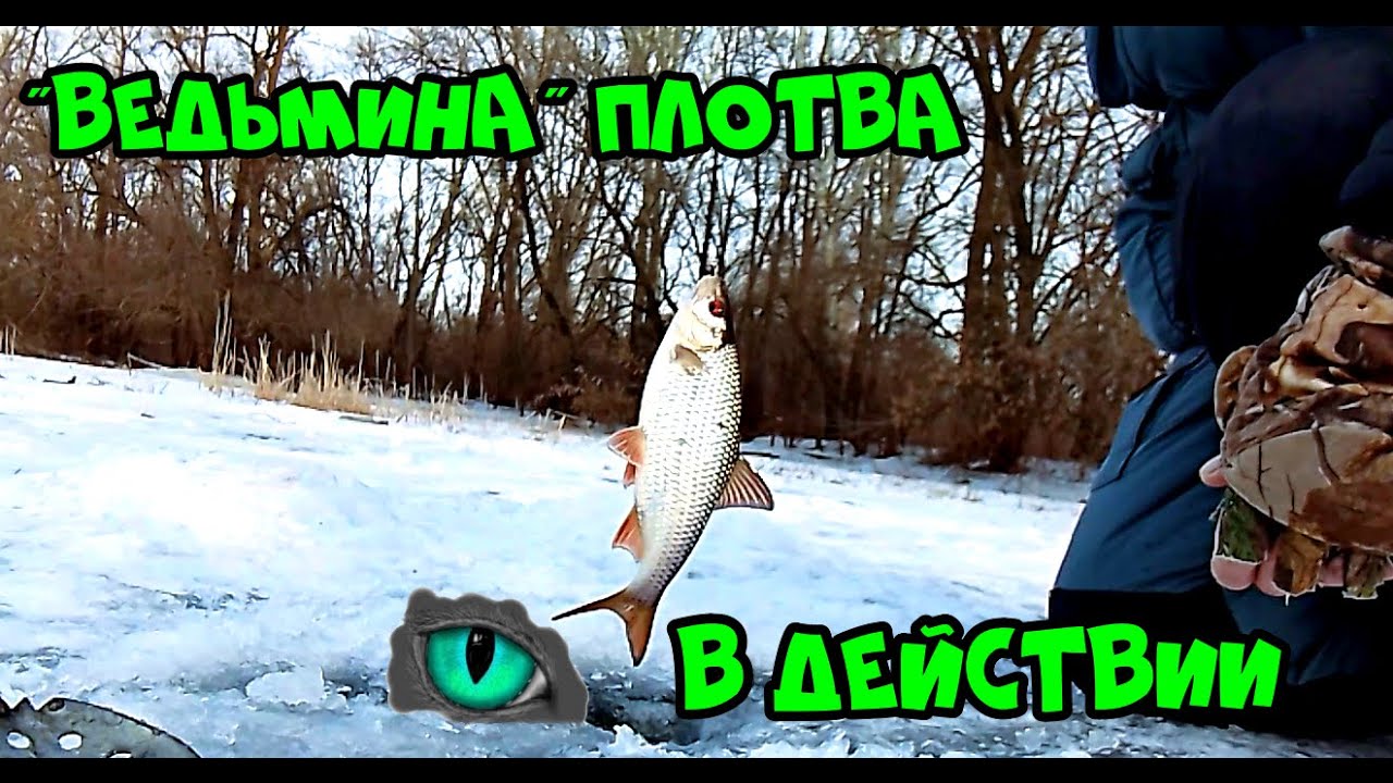 Ведьмина плотва. Ярославский 