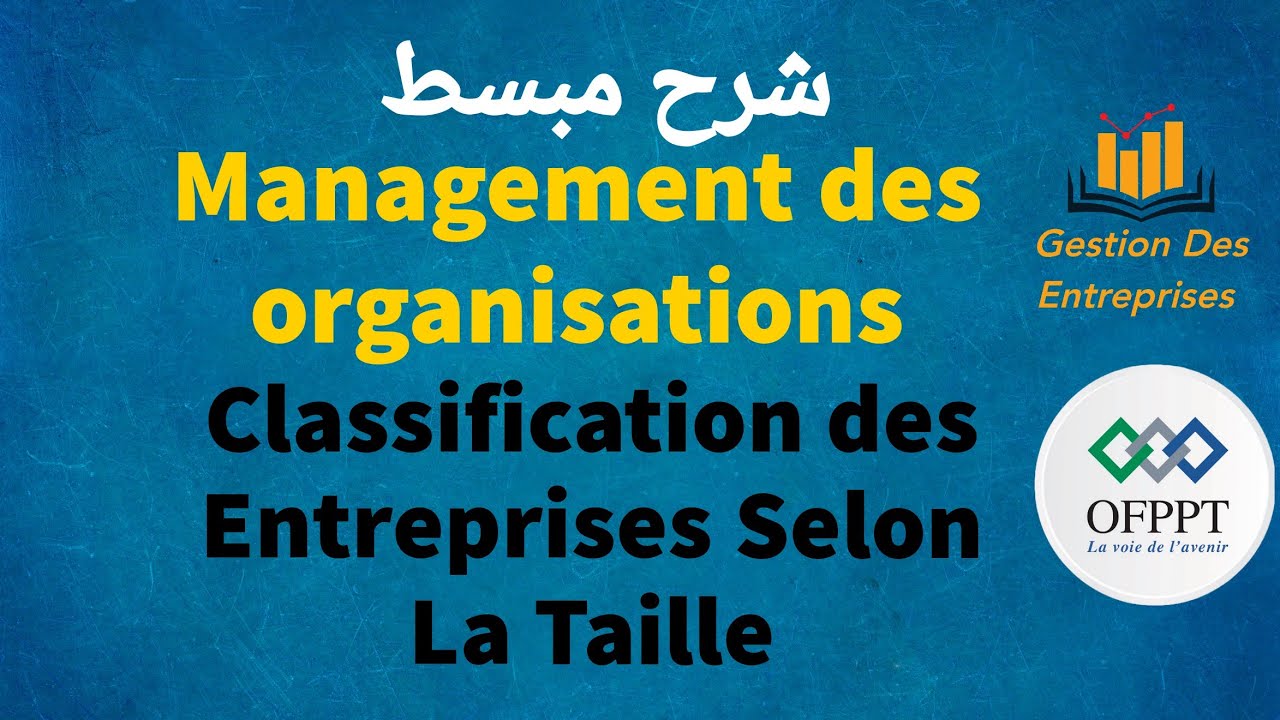 La Classification des Entreprises Selon La Taille
