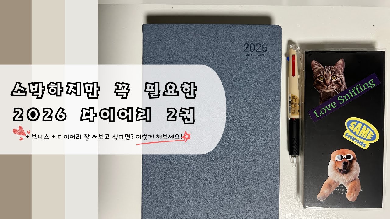 2026년 다이어리 단 두 권으로 셋업 완료!!! 구석구석 활용하는 다이어리 쓰기 작성팁까지 알려드립니다 | 로그로그 | 캐주얼플래너 | 데일리다이어리