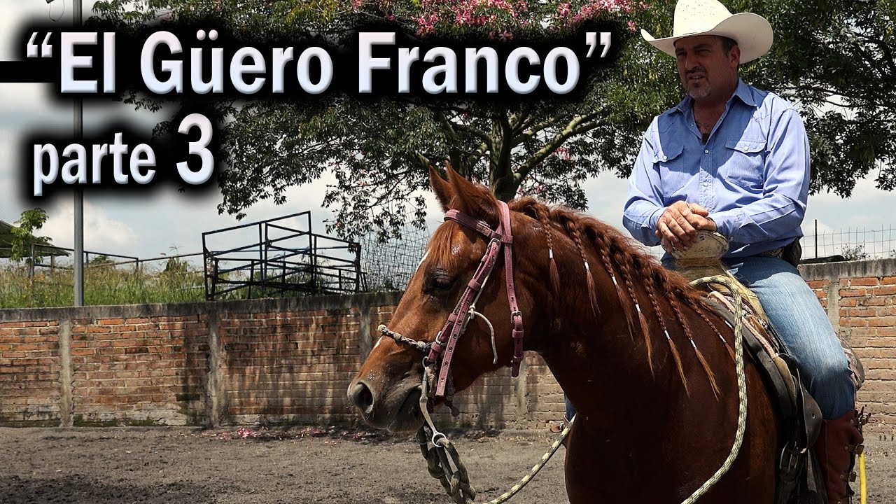 Prospecto para Futurity 2026 - Alfredo El Güero Franco 03 - Arrendado desde Cero