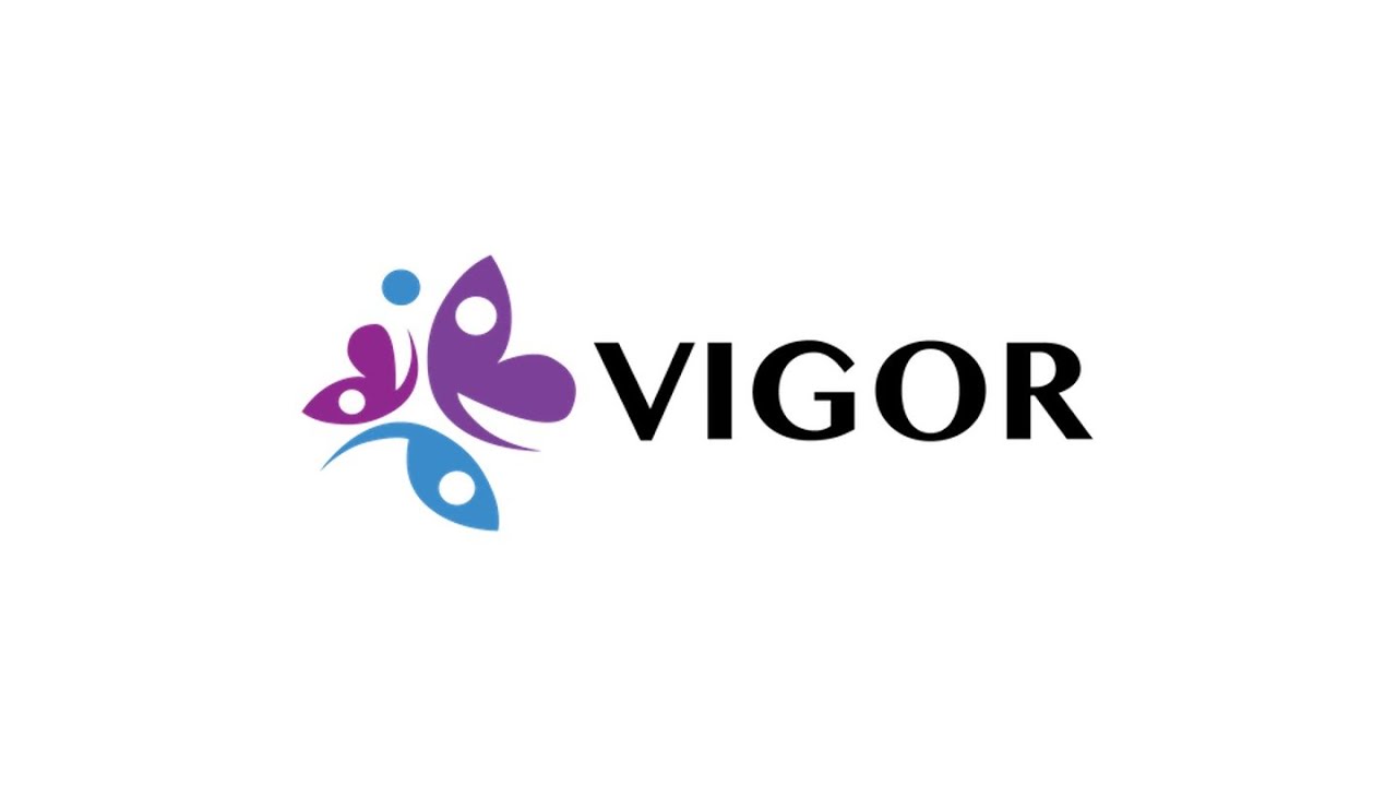 July 2025 VIGOR webinar