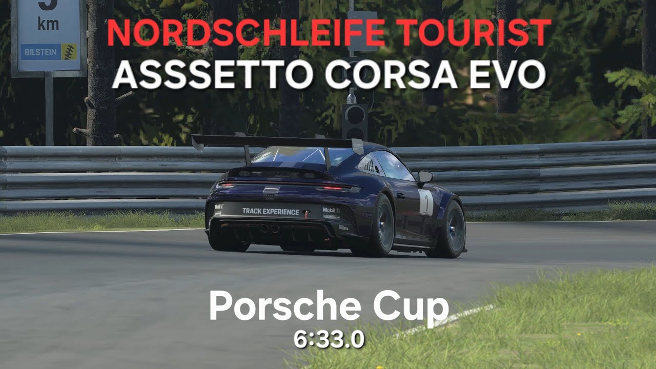 Porsche Cup 6:33.0 Nordschleife Tourist - Assetto Corsa Evo