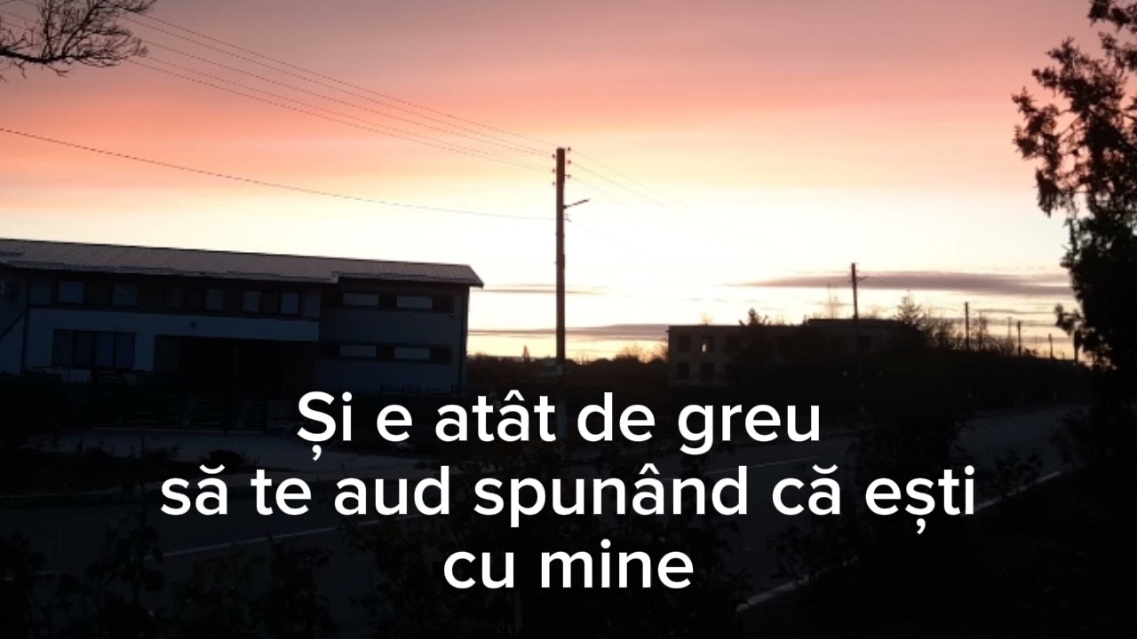 Naomi Sturza- Te laud în furturi| Negativ