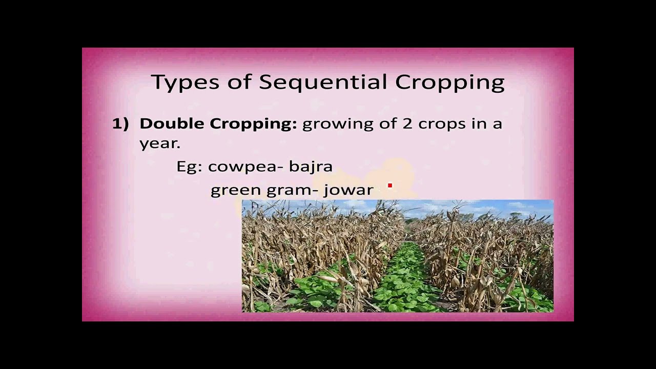 MULTIPLE CROPPING II #upsc   #mains #agriculture #optional #paper1#by  #agri  #silvi