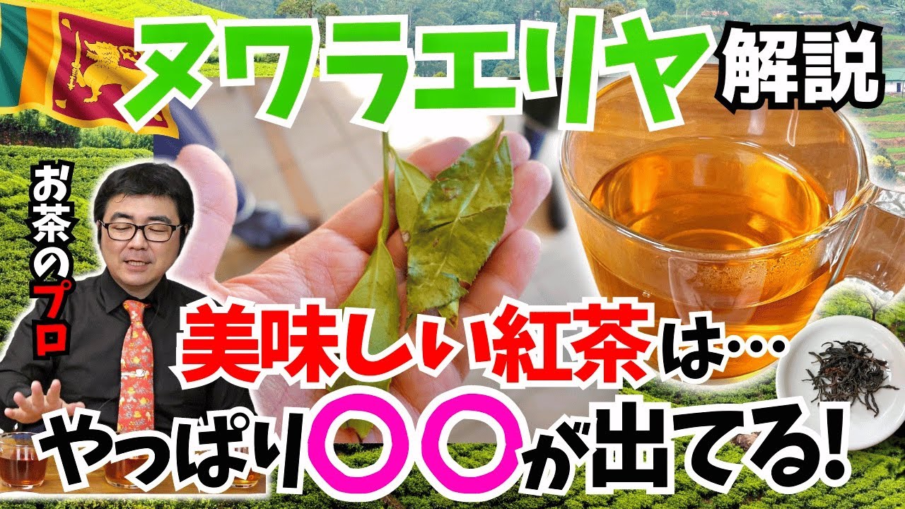 【セイロン7大紅茶】ヌワラエリヤ徹底解説！紅茶社長も一番お気に入りのセイロン紅茶の秘密【スリランカ】