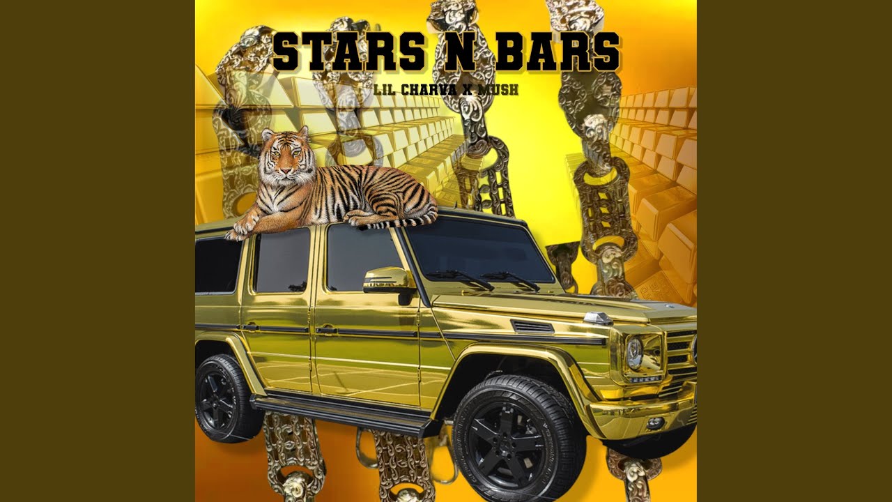 STARS N BARS