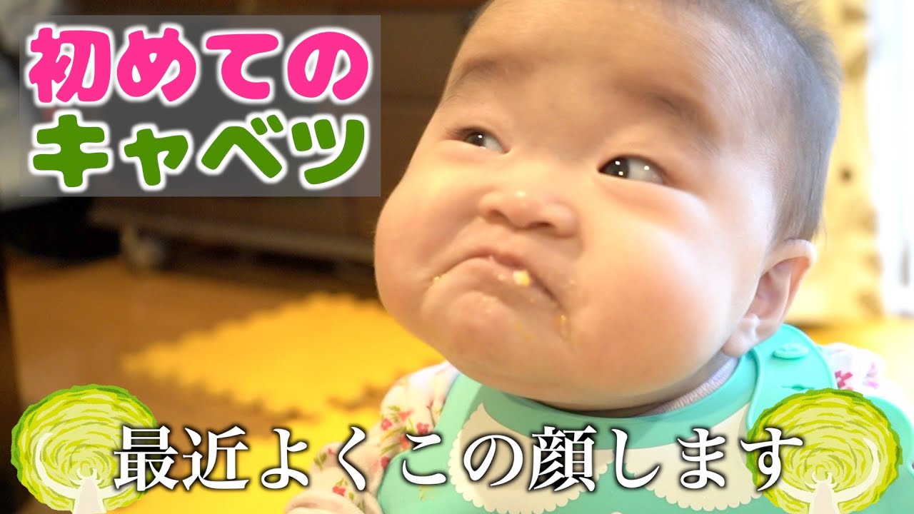 初めてのキャベツを食べながらママを挑発？！【生後7ヶ月】 Yune eats cabbage for the first time.