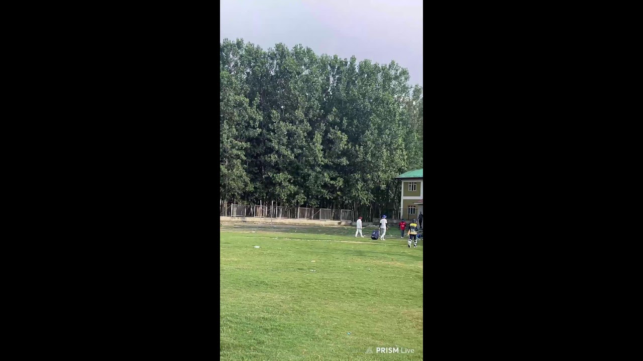 Live cricket match | cricket highlight video | best cricket match ever | #ipl #testcricket