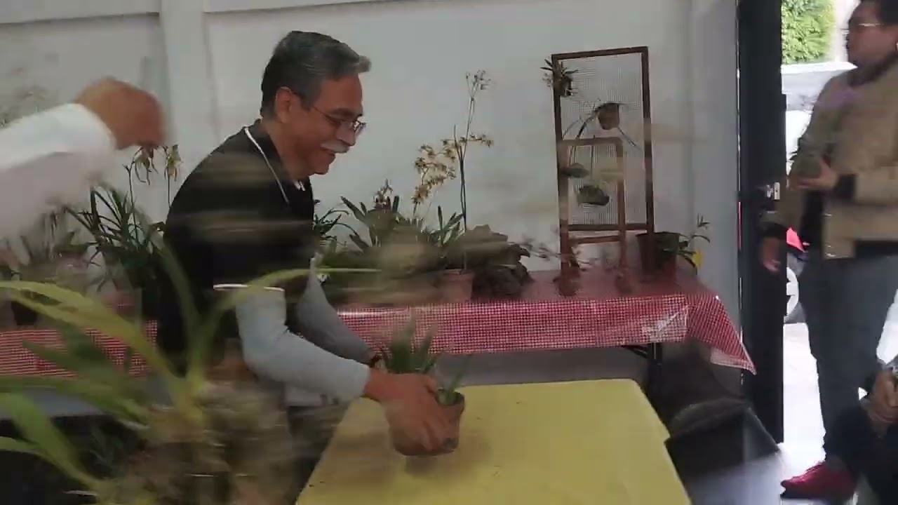 Suscríbete Únete a AMO. Muestra plantas. Reunión AMO Morelia JUNIO2025. Inscríbete en AMO