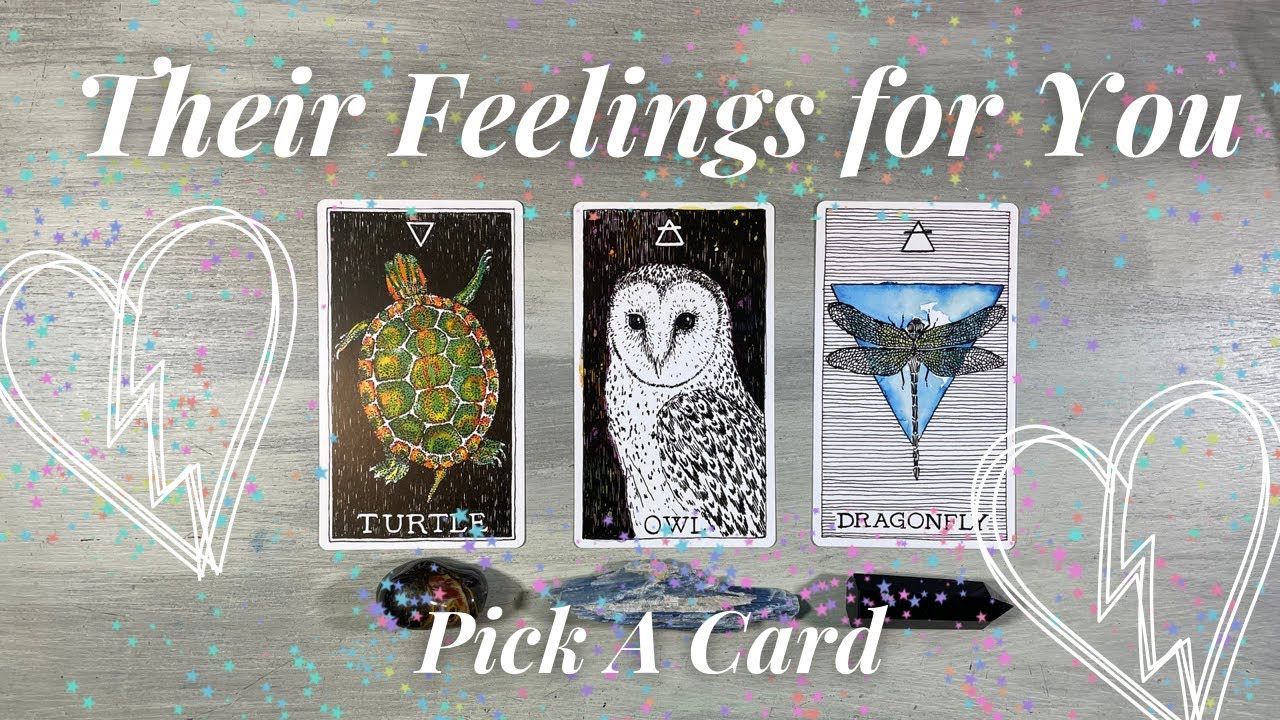 🖤🤍PICK A CARD  Their CURRENT Feelings for YOU! + channeled messages (Timeless) Love Tarot Reading