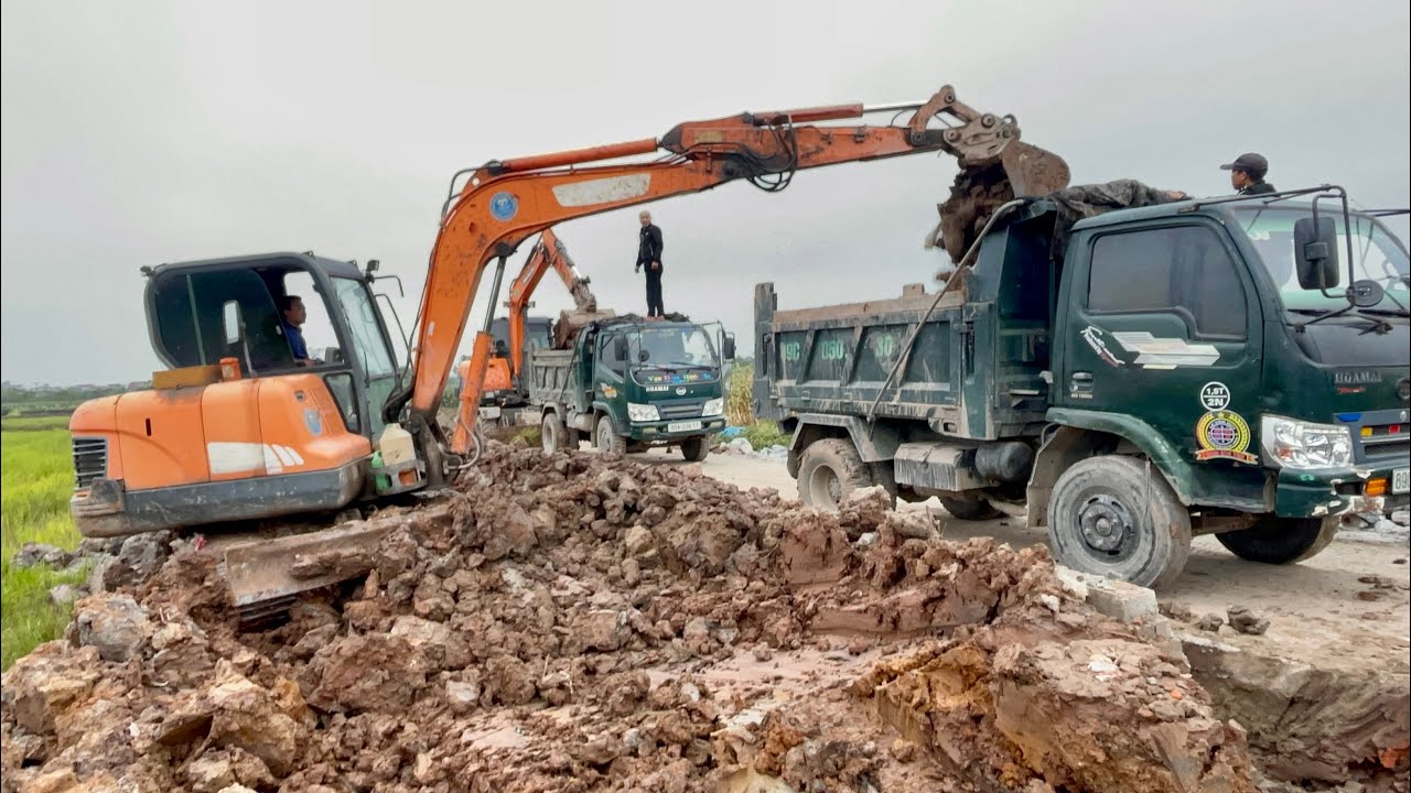 BÁC TÀI Ô TÔ TẢI HOA MAI CHỞ ĐẤT KINH NGHIỆM CỰC CAO ĐỔ BEN XEM CỰC ĐÃ | CÔNG NÔNG CHỞ ĐẤT
