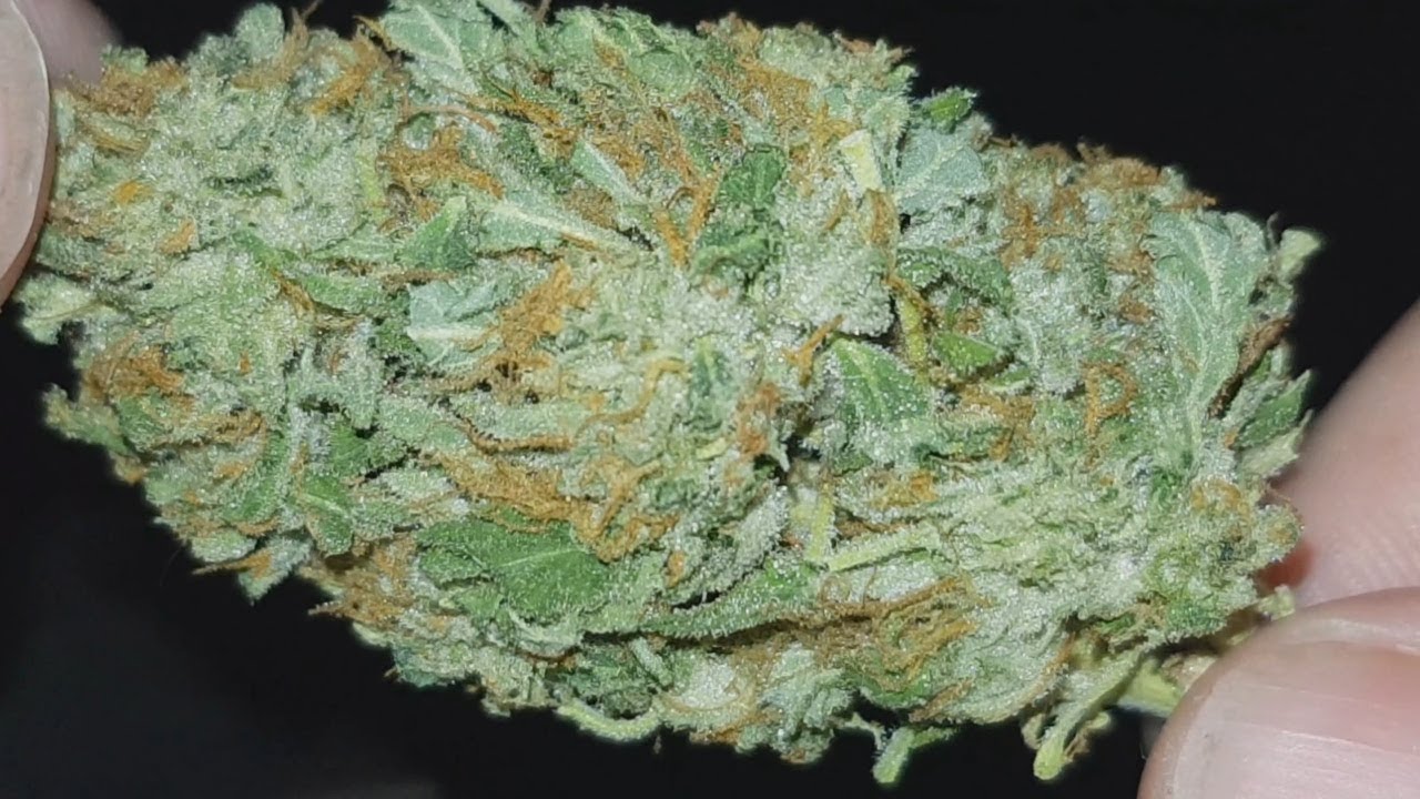 Mendo Breath Strain Review.