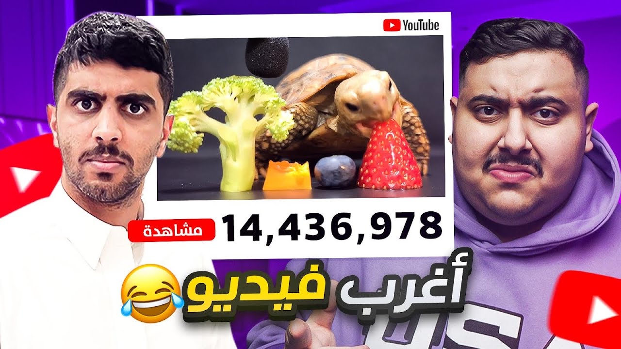 ردة فعلنا على سلحفاة تاكل فواكه 🍉🍓!!