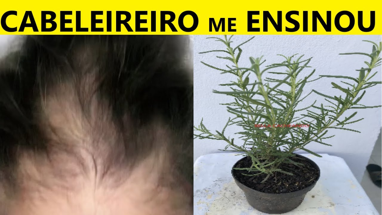 PINGA QUE SOME /  QUEDA QUEBRA e FIOS RALOS na Hora !