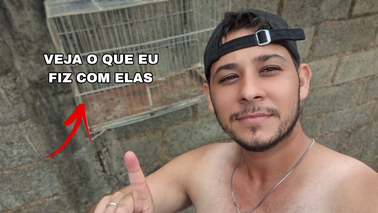 Limpando e reutilizando gaiolas usadas que estavam paradas na minha criação de canários
