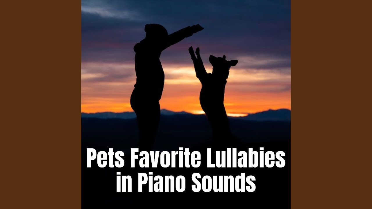 Purrfect Piano Sounds