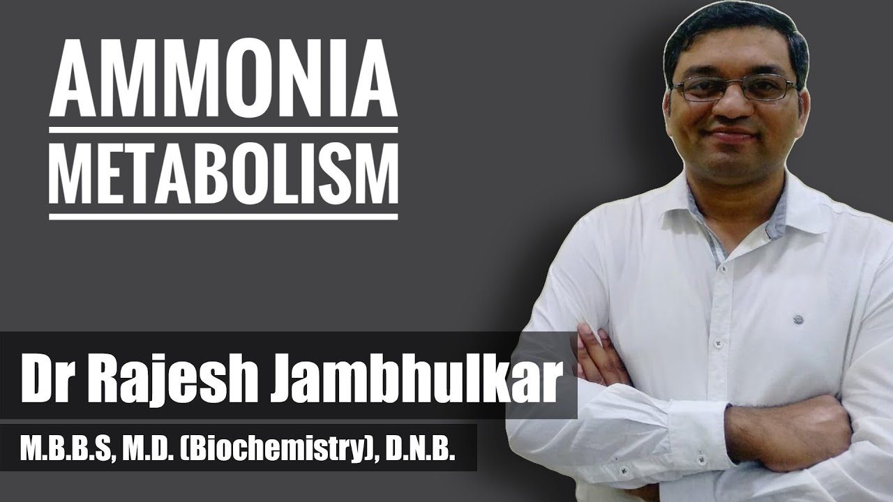 2. Ammonia metabolism and Urea cycle part 1