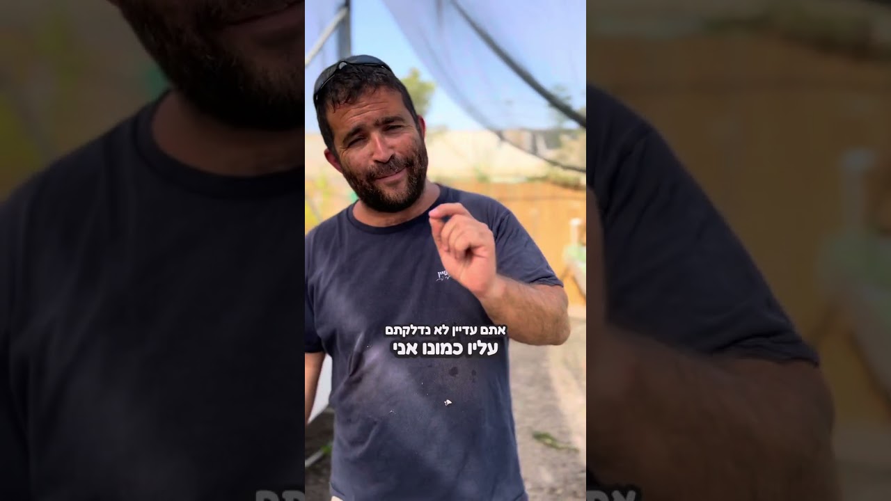 7 צמחים לשתילה לקראת החורף- אלו ההמלצות שלי