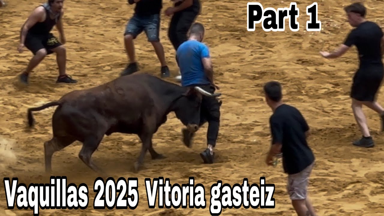 Vaquillas en Vitoria Gasteiz 05/08/2025 fiestas de blanca#toros #bullrun #bull #festival #spain 