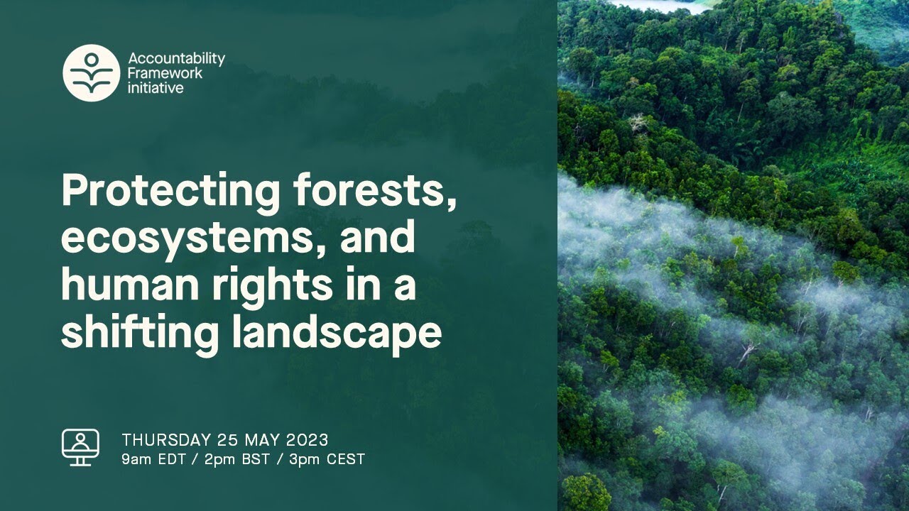 AFi Webinar: Protecting forests, ecosystems, and human rights in a shifting landscape