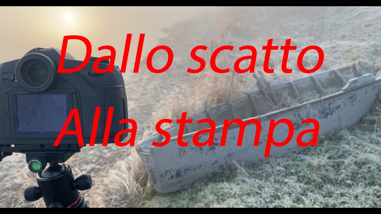 Dallo scatto alla stampa