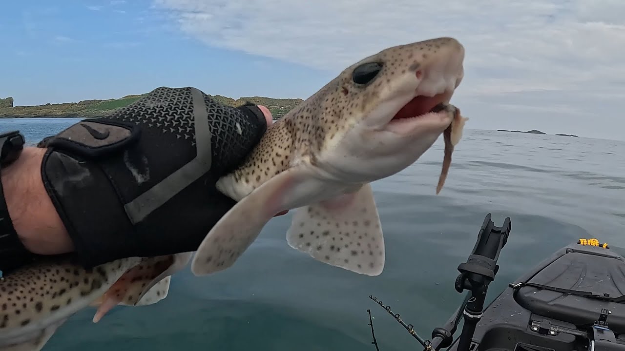 Kayak Fishing 2024 Season Compilation of catches and mishaps.                No Commentary