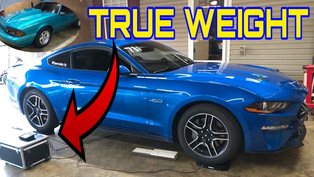 Full weight 2020 Mustang GT on Race Car Scales! + Ride in Sick Fox!