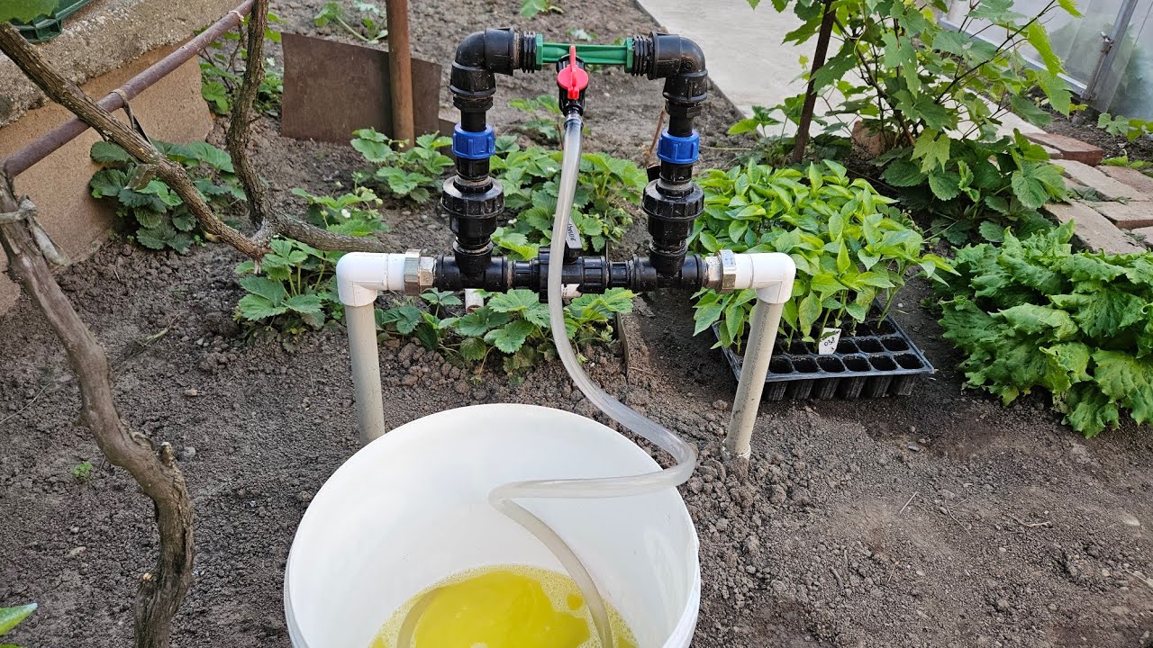 CEA MAI EFICIENTĂ METODĂ DE APLICARE A FERTILIZANȚILOR ÎN GRADINĂ!