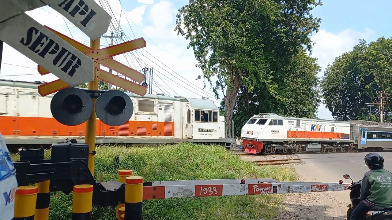 Kereta Api Airlangga PSE-SBI Berpapasan Dengan Kereta Api Bogowonto	LPN-PSE || Railroad Crossing