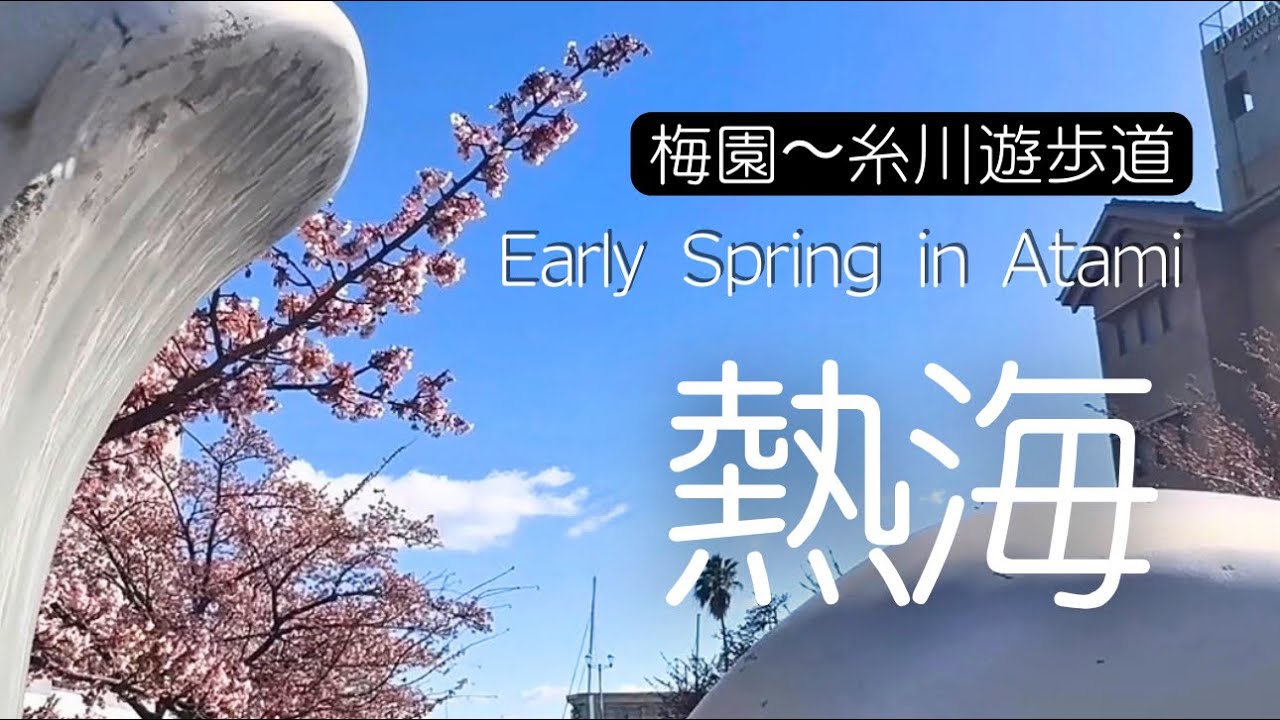 熱海｜熱海梅園の名所巡りとあたみ桜