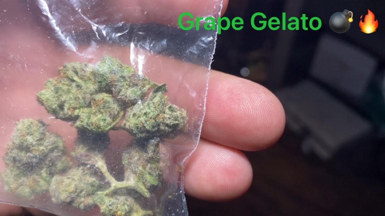 Grape Gelato Wake&Bake Review