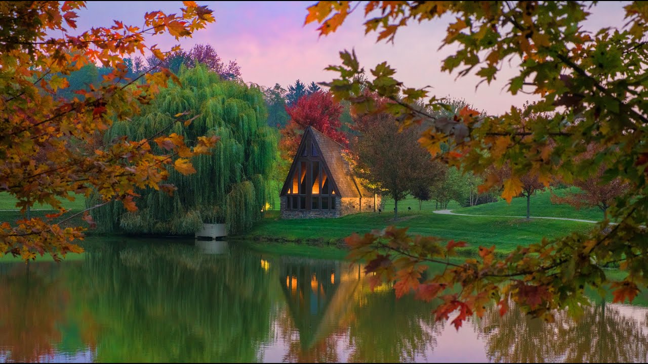MY SAFE PLACE, Relax with the Celtic Harp - real Celtic Harp recording for relaxing and meditation.