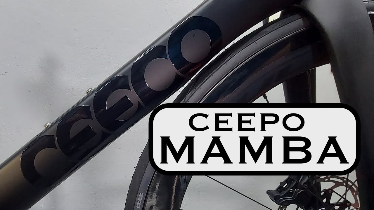 🇯🇵 Ceepo Mamba 2021 Campagnolo Chorus Disc Fulcrum #bikebuild #ceepo #ceepomamba