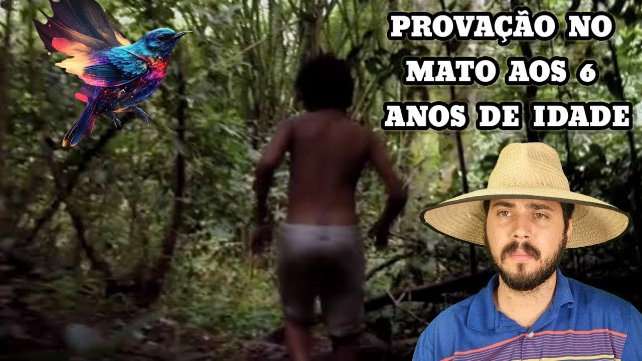 O Menino de 6 anos, seguiu um Pássaro estranho no mato e passou uma provação