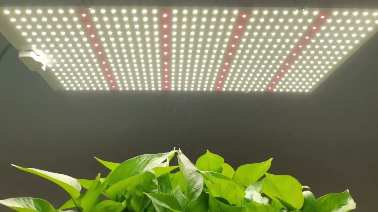 240W Quantum Board