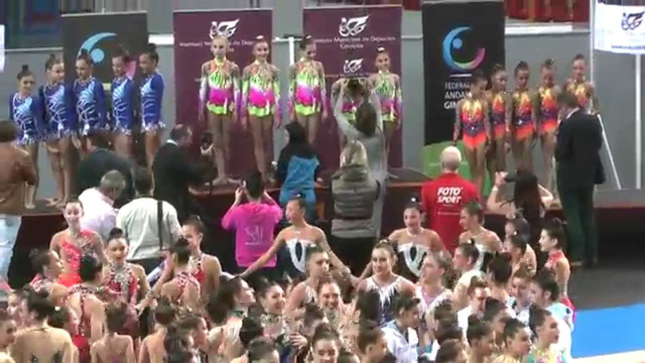 CAMPEONATO DE ANDALUCIA DE GIMNASIA RITMICA 14 11 2015 00038